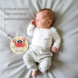 Cumplemes-pirata-1 28395